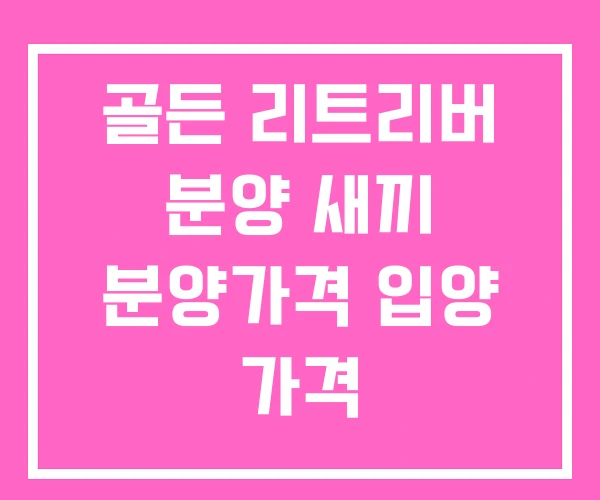 골든 리트리버 분양 새끼 분양가격 입양 가격