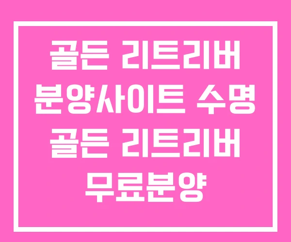골든 리트리버 분양사이트 수명 골든 리트리버 무료분양 골든 리트리버 분양사이트 수명 골든 리트리버 무료분양