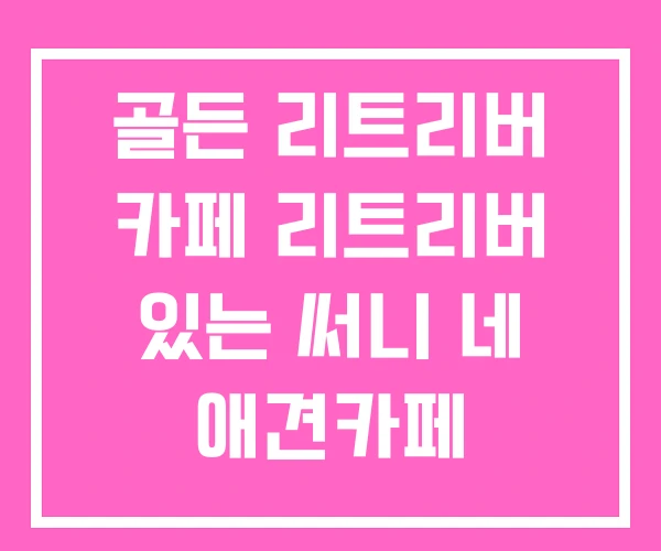 골든 리트리버 카페 리트리버 있는 써니 네 애견카페 골든 리트리버 카페 리트리버 있는 써니 네 애견카페