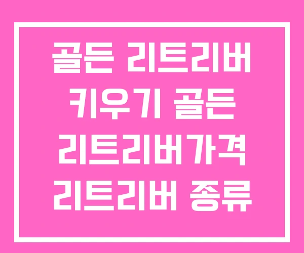 골든 리트리버 키우기 골든 리트리버가격 리트리버 종류 골든 리트리버 키우기 골든 리트리버가격 리트리버 종류
