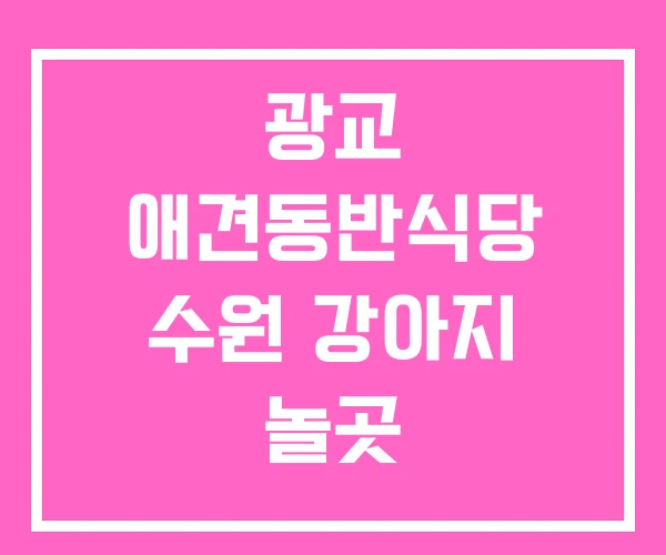 광교 애견동반식당 수원 강아지 놀곳 반려견박람회 광교 애견동반식당 수원 강아지 놀곳 반려견박람회