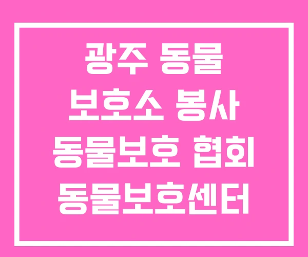 광주 동물 보호소 봉사 동물보호 협회 동물보호센터 광주 동물 보호소 봉사 동물보호 협회 동물보호센터