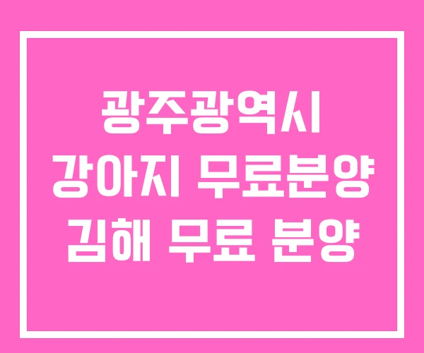광주광역시 강아지 무료분양 김해 무료 분양 광주광역시 강아지 무료분양 김해 무료 분양