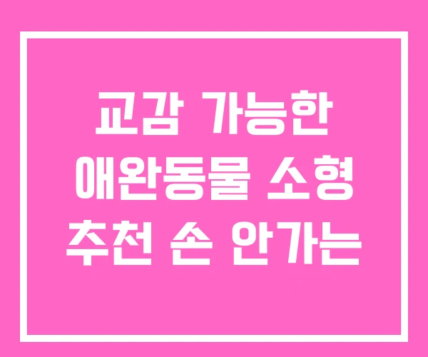 교감 가능한 애완동물 소형 추천 손 안가는 교감 가능한 애완동물 소형 추천 손 안가는