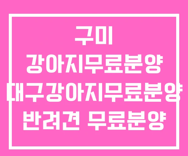 구미 강아지무료분양 대구강아지무료분양 반려견 무료분양 구미 강아지무료분양 대구강아지무료분양 반려견 무료분양