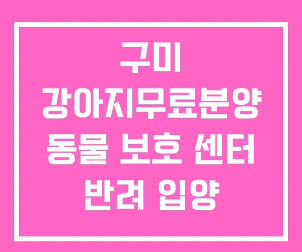 구미 강아지무료분양 동물 보호 센터 반려 입양 구미 강아지무료분양 동물 보호 센터 반려 입양