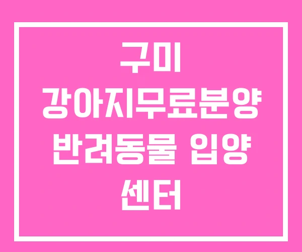 구미 강아지무료분양 반려동물 입양 센터 유기견보호소 구미 강아지무료분양 반려동물 입양 센터 유기견보호소