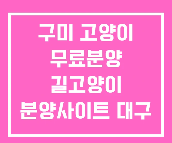 구미 고양이 무료분양 길고양이 분양사이트 대구 구미 고양이 무료분양 길고양이 분양사이트 대구