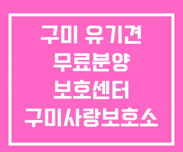 구미 유기견 무료분양 보호센터 구미사랑보호소 구미 유기견 무료분양 보호센터 구미사랑보호소