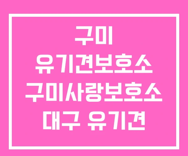 구미 유기견보호소 구미사랑보호소 대구 유기견 보호소 구미 유기견보호소 구미사랑보호소 대구 유기견 보호소
