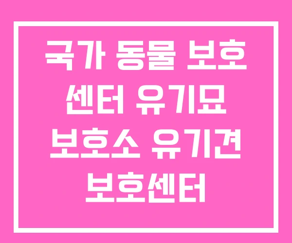 국가 동물 보호 센터 유기묘 보호소 유기견 보호센터 국가 동물 보호 센터 유기묘 보호소 유기견 보호센터