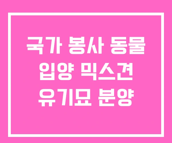 국가 봉사 동물 입양 믹스견 유기묘 분양
