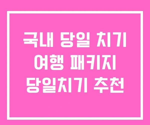 국내 당일 치기 여행 패키지 당일치기 추천 국내 당일 치기 여행 패키지 당일치기 추천