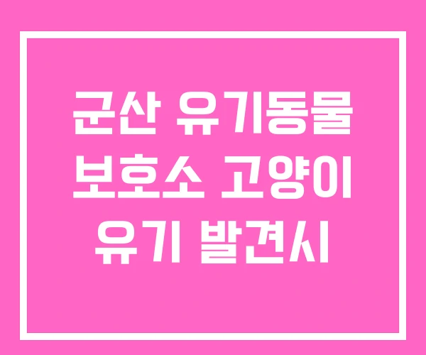 군산 유기동물 보호소 고양이 유기 발견시