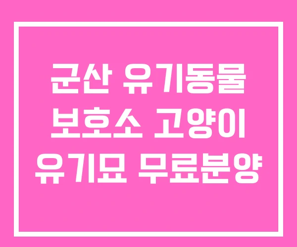 군산 유기동물 보호소 고양이 유기묘 무료분양 군산 유기동물 보호소 고양이 유기묘 무료분양