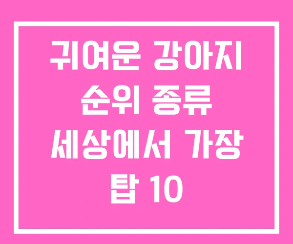 귀여운 강아지 순위 종류 세상에서 가장 탑 10