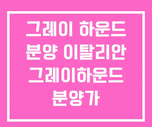 그레이 하운드 분양 이탈리안 그레이하운드 분양가 그레이 하운드 분양 이탈리안 그레이하운드 분양가
