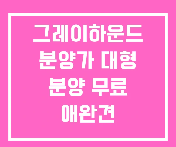 그레이하운드 분양가 대형 분양 무료 애완견 그레이하운드 분양가 대형 분양 무료 애완견