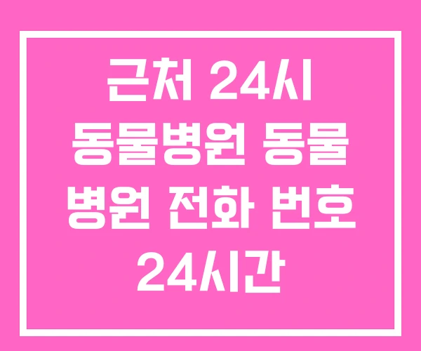 근처 24시 동물병원 동물 병원 전화 번호 24시간