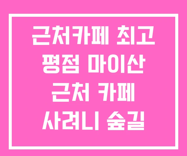 근처카페 최고 평점 마이산 근처 카페 사려니 숲길 근처카페 최고 평점 마이산 근처 카페 사려니 숲길