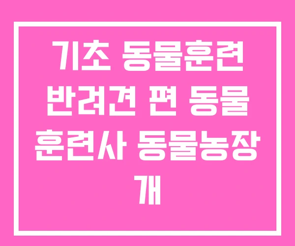 기초 동물훈련 반려견 편 동물 훈련사 동물농장 개 기초 동물훈련 반려견 편 동물 훈련사 동물농장 개