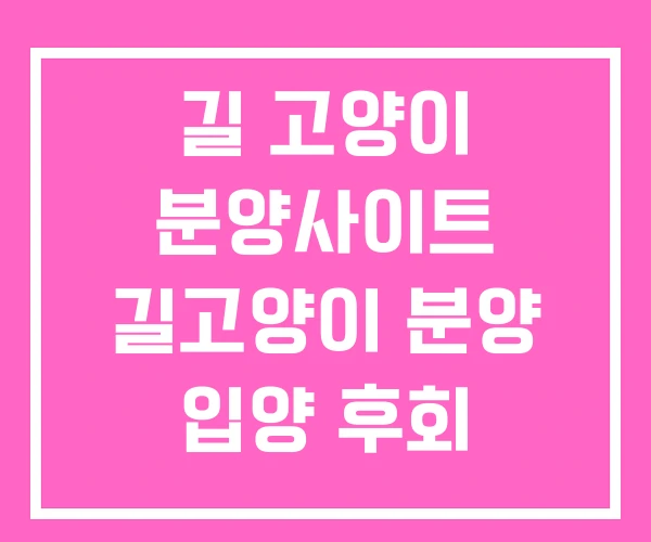 길 고양이 분양사이트 길고양이 분양 입양 후회 길 고양이 분양사이트 길고양이 분양 입양 후회