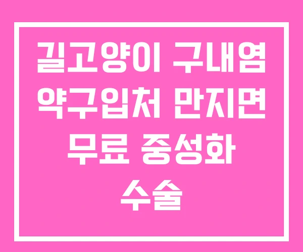 길고양이 구내염 약구입처 만지면 무료 중성화 수술 길고양이 구내염 약구입처 만지면 무료 중성화 수술