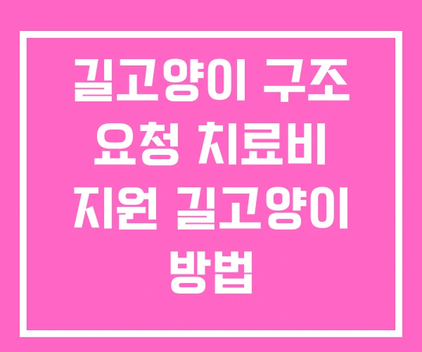 길고양이 구조 요청 치료비 지원 길고양이 방법