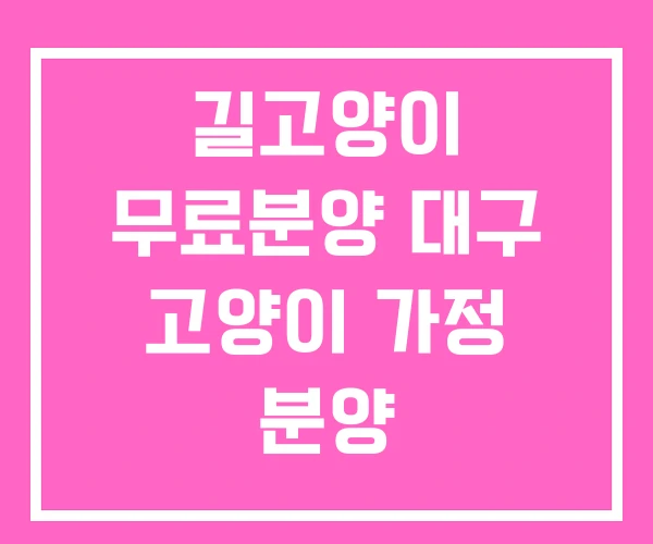길고양이 무료분양 대구 고양이 가정 분양 길고양이 무료분양 대구 고양이 가정 분양
