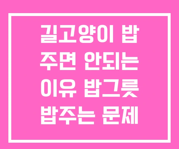 길고양이 밥 주면 안되는 이유 밥그릇 밥주는 문제