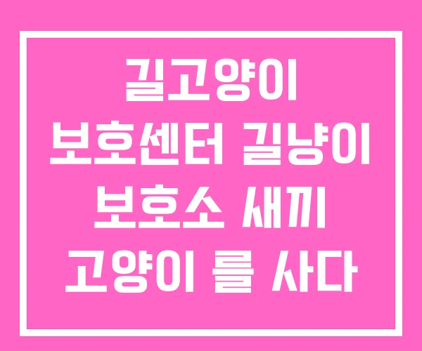 길고양이 보호센터 길냥이 보호소 새끼 고양이 를 사다 길고양이 보호센터 길냥이 보호소 새끼 고양이 를 사다