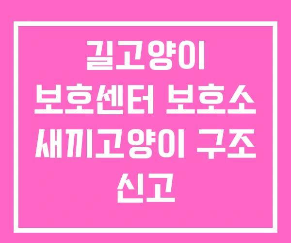 길고양이 보호센터 보호소 새끼고양이 구조 신고
