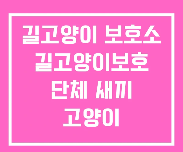 길고양이 보호소 길고양이보호 단체 새끼 고양이 길고양이 보호소 길고양이보호 단체 새끼 고양이