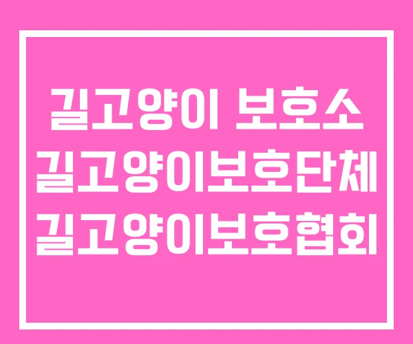 길고양이 보호소 길고양이보호단체 길고양이보호협회