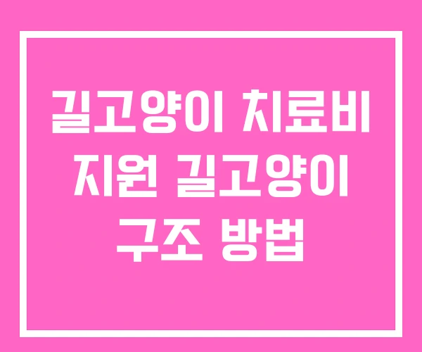 길고양이 치료비 지원 길고양이 구조 방법