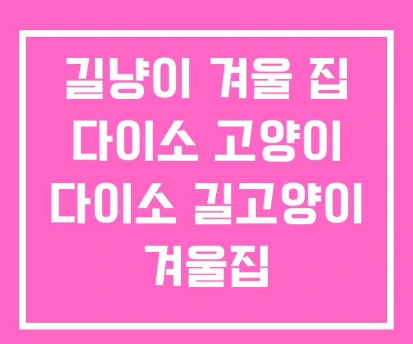 길냥이 겨울 집 다이소 고양이 다이소 길고양이 겨울집