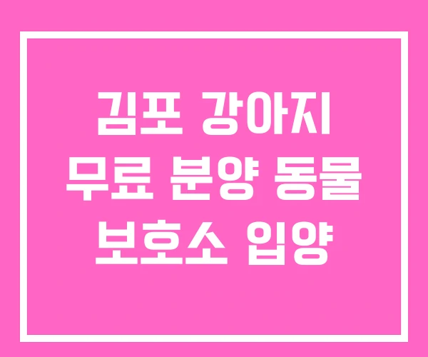김포 강아지 무료 분양 동물 보호소 입양 김포 강아지 무료 분양 동물 보호소 입양