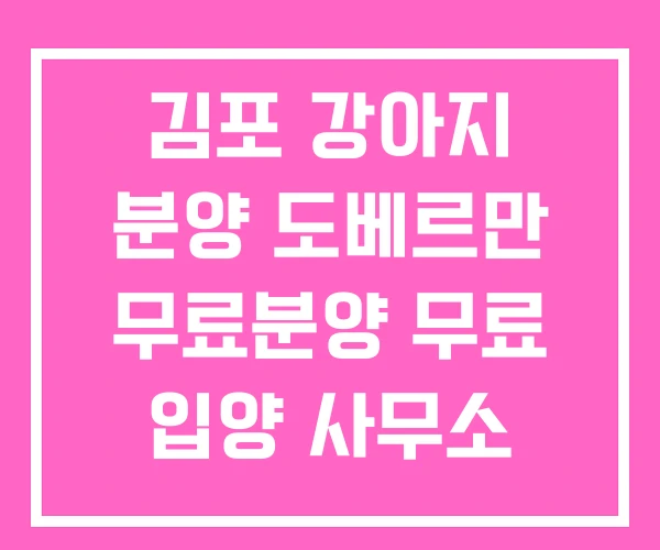 김포 강아지 분양 도베르만 무료분양 무료 입양 사무소 김포 강아지 분양 도베르만 무료분양 무료 입양 사무소