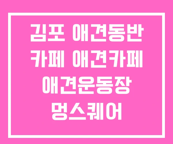김포 애견동반 카페 애견카페 애견운동장 멍스퀘어