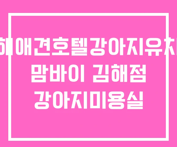 김해애견호텔강아지유치원 맘바이 김해점 강아지미용실 김해애견호텔강아지유치원 맘바이 김해점 강아지미용실