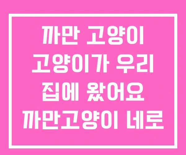 까만 고양이 고양이가 우리 집에 왔어요 까만고양이 네로 까만 고양이 고양이가 우리 집에 왔어요 까만고양이 네로