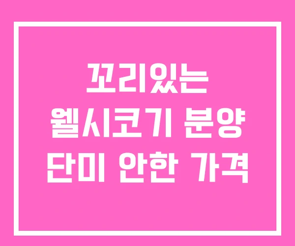 꼬리있는 웰시코기 분양 단미 안한 가격 꼬리있는 웰시코기 분양 단미 안한 가격