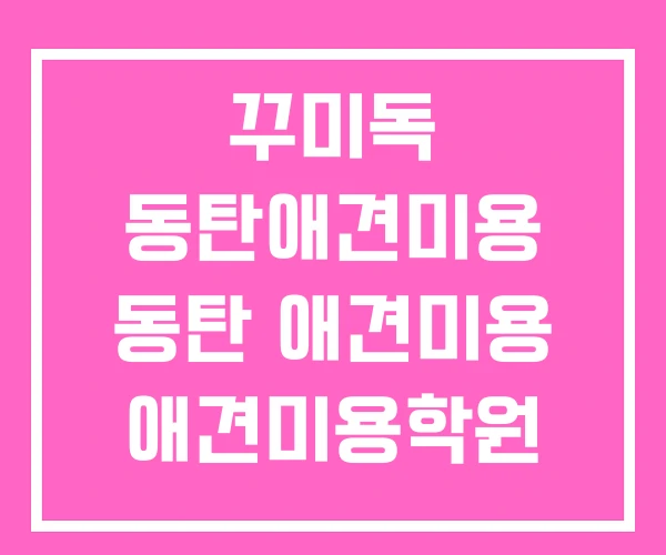 꾸미독 동탄애견미용 동탄 애견미용 애견미용학원