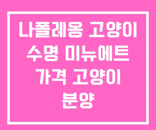 나폴레옹 고양이 수명 미뉴에트 가격 고양이 분양 나폴레옹 고양이 수명 미뉴에트 가격 고양이 분양