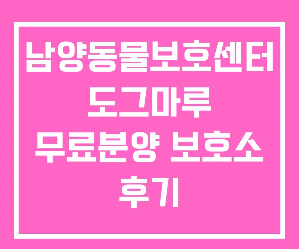 남양동물보호센터 도그마루 무료분양 보호소 후기 남양동물보호센터 도그마루 무료분양 보호소 후기