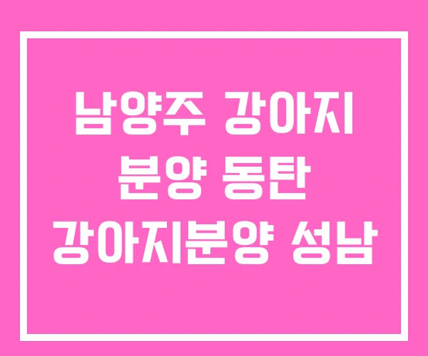 남양주 강아지 분양 동탄 강아지분양 성남 남양주 강아지 분양 동탄 강아지분양 성남