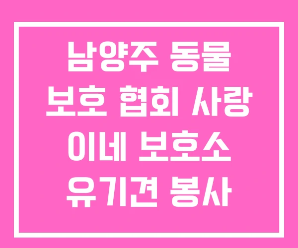 남양주 동물 보호 협회 사랑 이네 보호소 유기견 봉사 남양주 동물 보호 협회 사랑 이네 보호소 유기견 봉사
