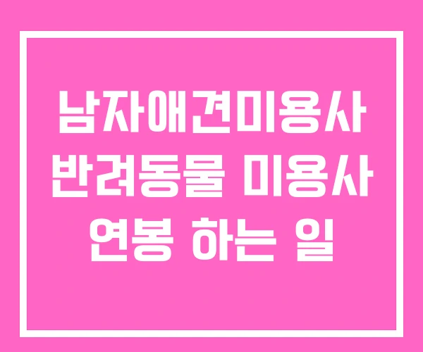 남자애견미용사 반려동물 미용사 연봉 하는 일