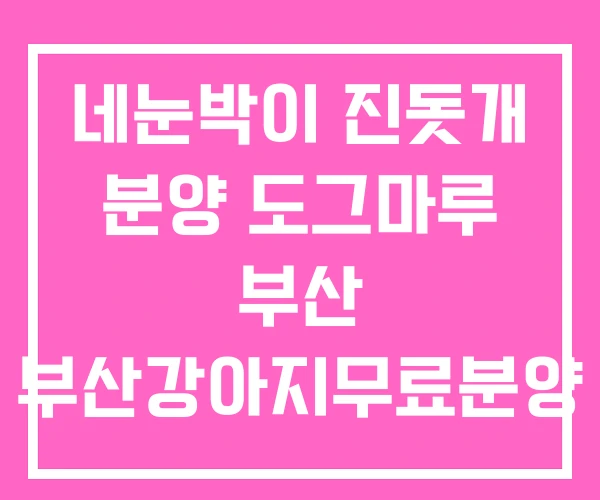 네눈박이 진돗개 분양 도그마루 부산 부산강아지무료분양 네눈박이 진돗개 분양 도그마루 부산 부산강아지무료분양