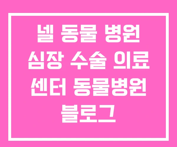 넬 동물 병원 심장 수술 의료 센터 동물병원 블로그 넬 동물 병원 심장 수술 의료 센터 동물병원 블로그